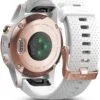 Garmin Fenix 5S Specs, features and prices