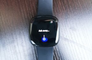 fitbit versa voice assistant