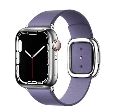 Apple Watch Series 7 (45mm) (Cellular) (Stainless steel) - Full Specifications, Features and Price - Image 2